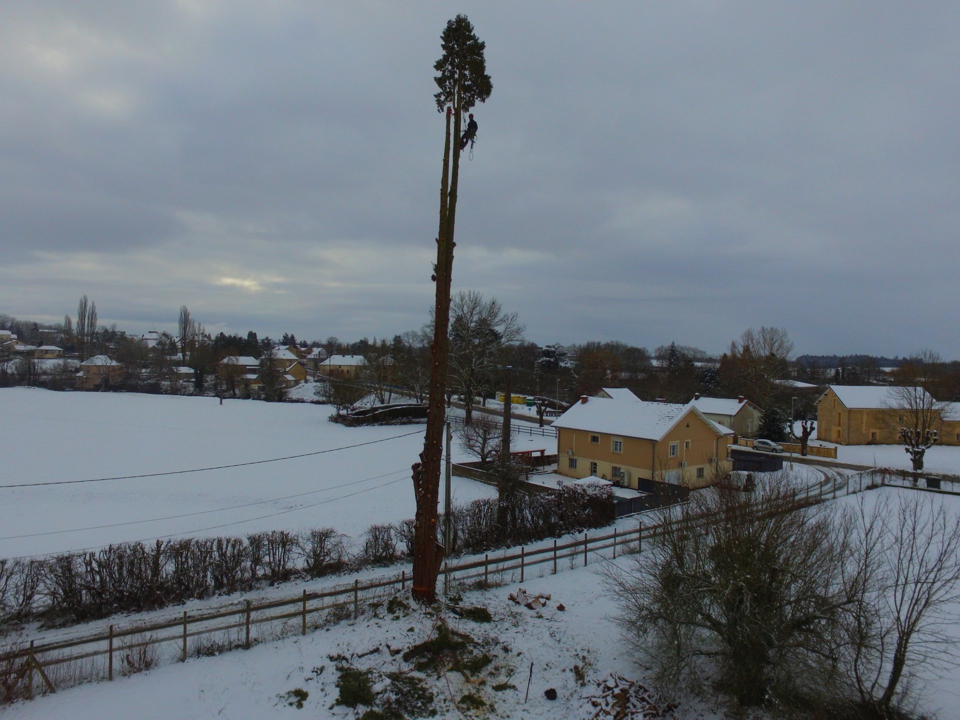 Demontage-thuja-drone-photo-2